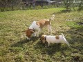 s k�mo�kou Ozzynou (a neni to moje mama ehh)
