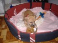 bacha ..trha�.) 2