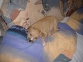 spink�m..neru�it:)