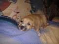 spink�m..neru�it:)2