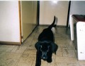 Max �t�n�