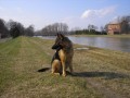 Artu�