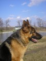 Artu�