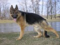 Artu�