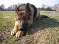 Artu�