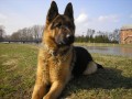 Artu�