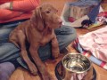 Prvn� minuty u nov� maminky