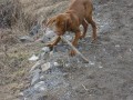 Jup��� m�m klac�k :o)