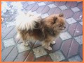 S�ra