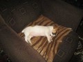 spink�m...