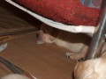 ...nekomu to ov�em bylo uplne fuk