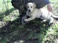 V�ude dob�e...u p�n��ka nejl�p
