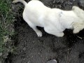 Hrab�n�,to je moje!!