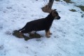 Ziki 2 m�s�ce