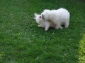 Holky si p�kn� pohr�ly...
