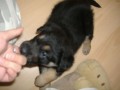 m�amka... :)