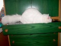 to je ale pr��ma �upl��k