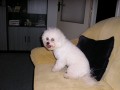Tak u� m� nefo�! :(
