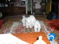 Sraz bi�onk� 2