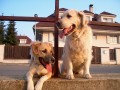 Moje �t�st��ka