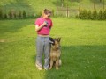 Artu�