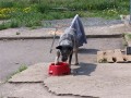 JE TA VODA HORK� ?