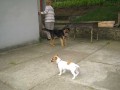 Rock�sek s k�mo�em Ben�kem