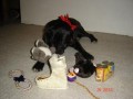 V�noce jen moje :-)