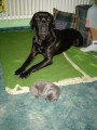 Ag�tka jest� malink� a Kasinka hrd� hl�d� :-)