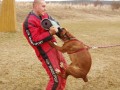 Bessinka p�i obran�ch