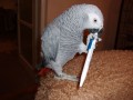 bob s tu�kou