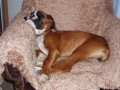 Bessinka ve sp�nku