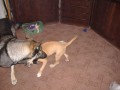 Garf op�t in ek�n:)