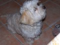 Pros�m.....