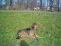 Odpo�inek