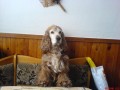 Tak a tady te� vel�m j�!!!