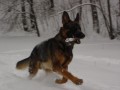 Zimn� radov�nky