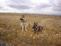 Gino a  k�mo� Rony
