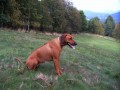 odpo�inek