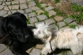 Seznamov�n�!