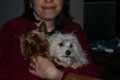 Gweny s k�mo�em