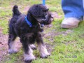 kr�tce v nov�m domov�