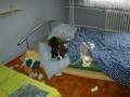 Po n�vratu z pr�ce