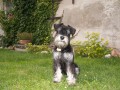 Na chaloupce..6 m�s�c�