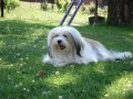 na�e princezna