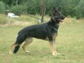 Chiru�ka 1 rok