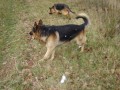 Aron a F�na