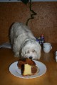 Dobr� b�bovka!