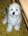 Po vykoup�n� :)