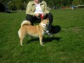 Taky p�kn� �ibinka